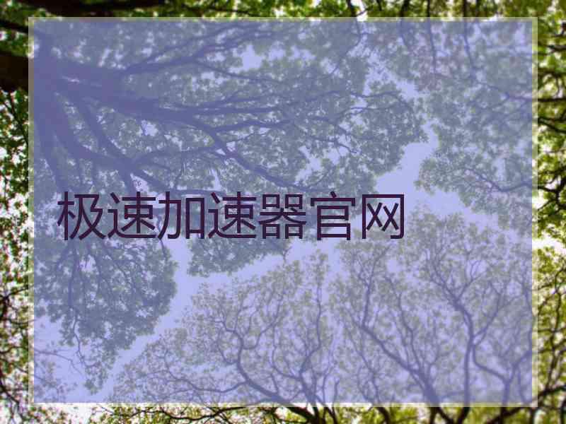 极速加速器官网