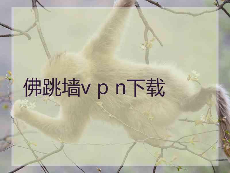 佛跳墙v p n下载