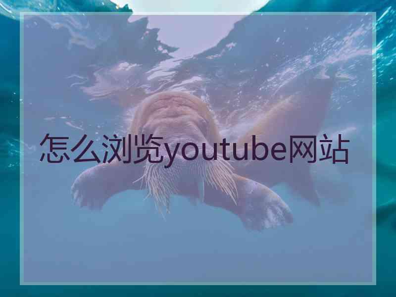 怎么浏览youtube网站