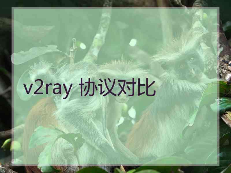 v2ray 协议对比