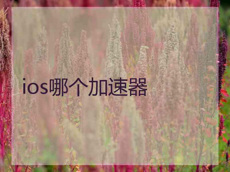 ios哪个加速器