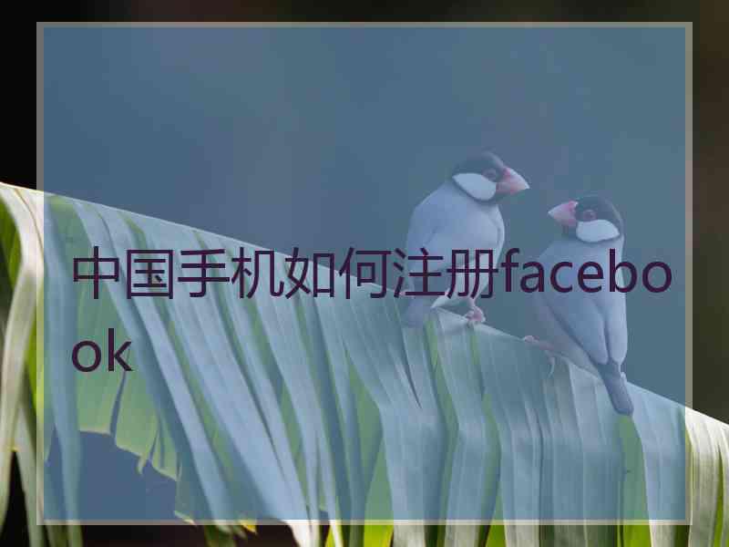 中国手机如何注册facebook