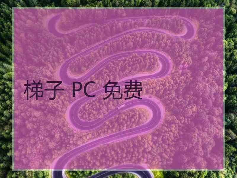 梯子 PC 免费