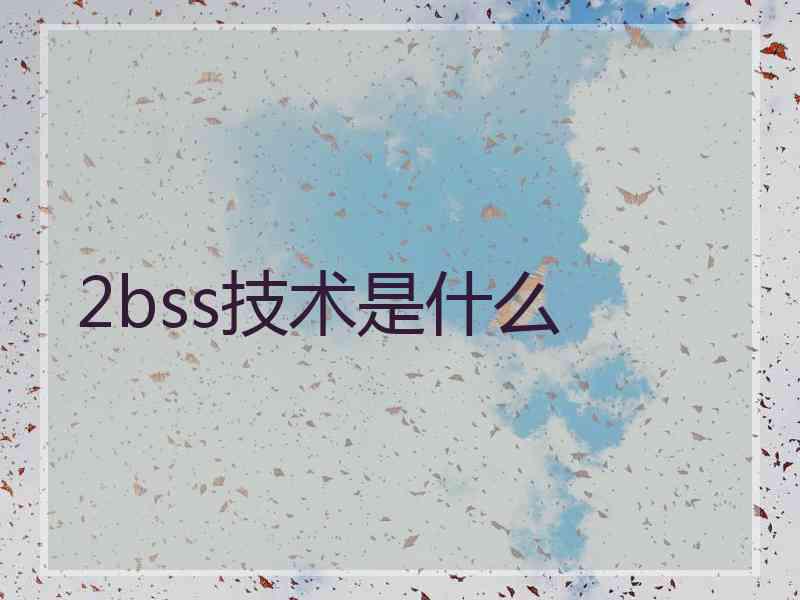 2bss技术是什么