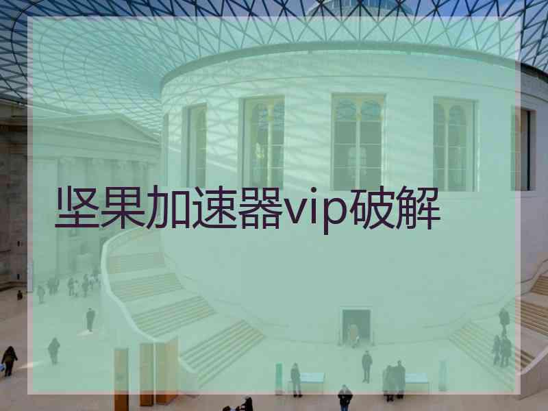 坚果加速器vip破解