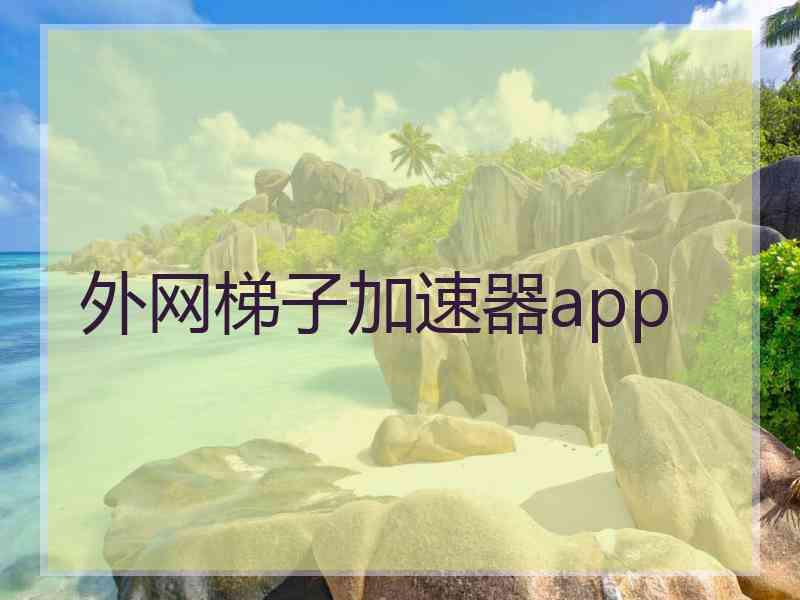 外网梯子加速器app