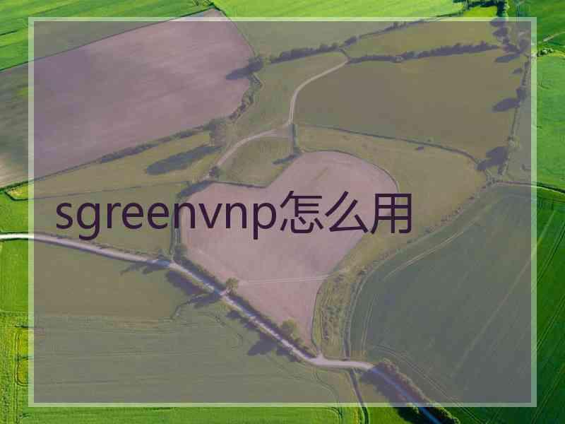 sgreenvnp怎么用