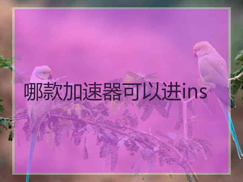 哪款加速器可以进ins