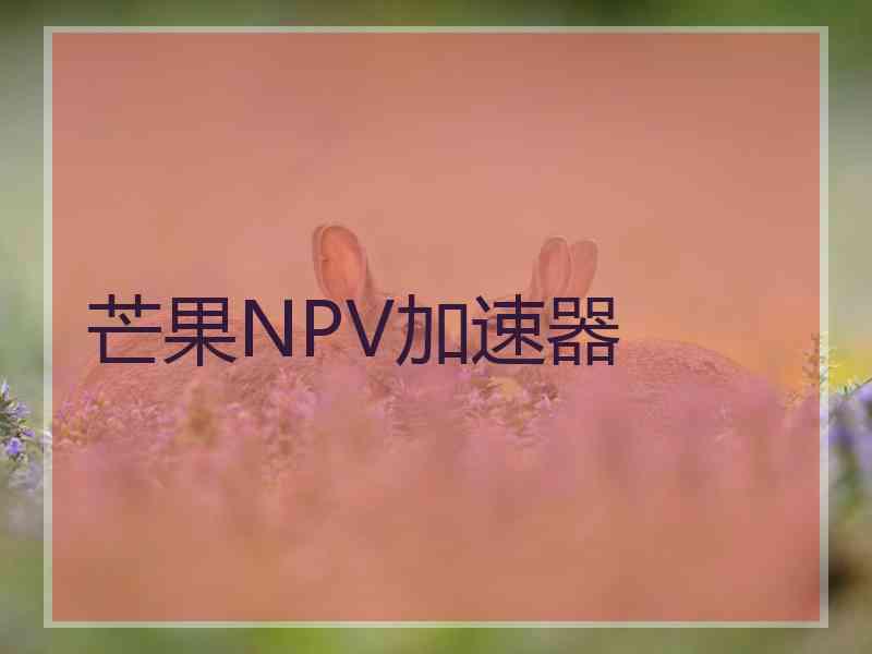 芒果NPV加速器