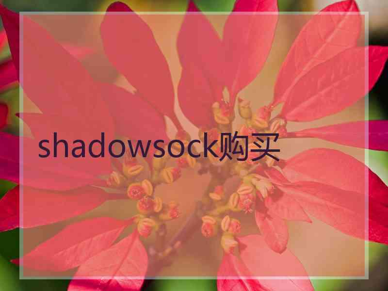 shadowsock购买