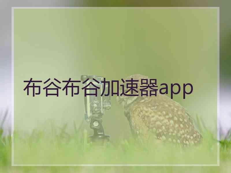 布谷布谷加速器app