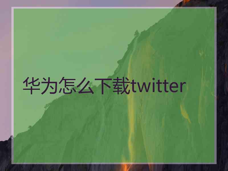 华为怎么下载twitter