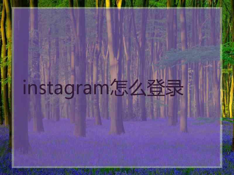 instagram怎么登录