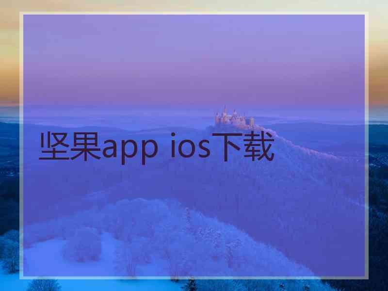 坚果app ios下载