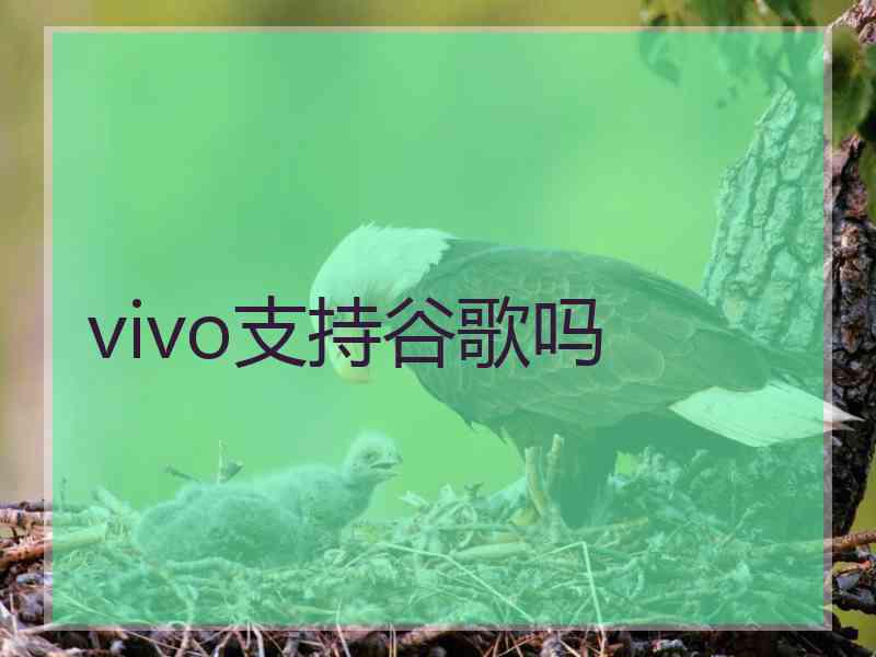 vivo支持谷歌吗