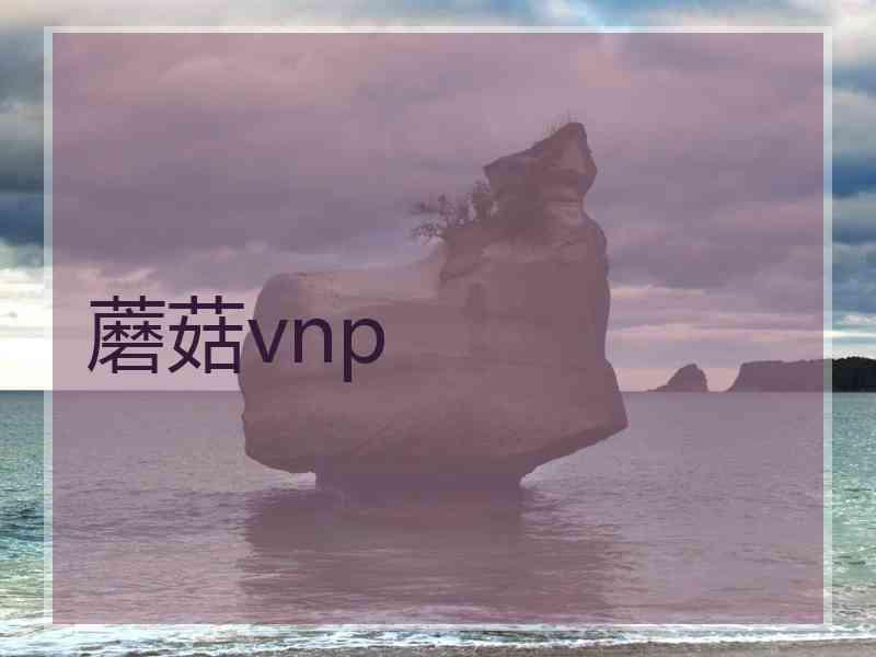 蘑菇vnp