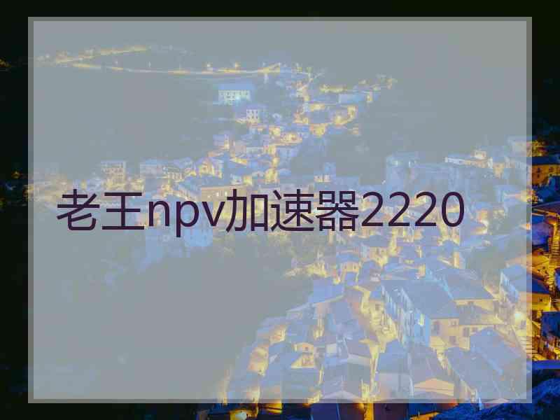 老王npv加速器2220