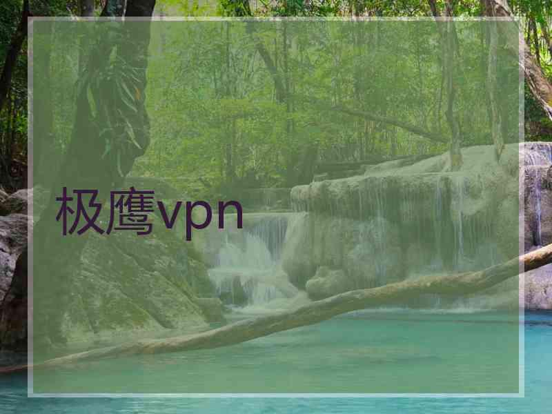 极鹰vpn