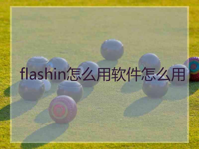 flashin怎么用软件怎么用