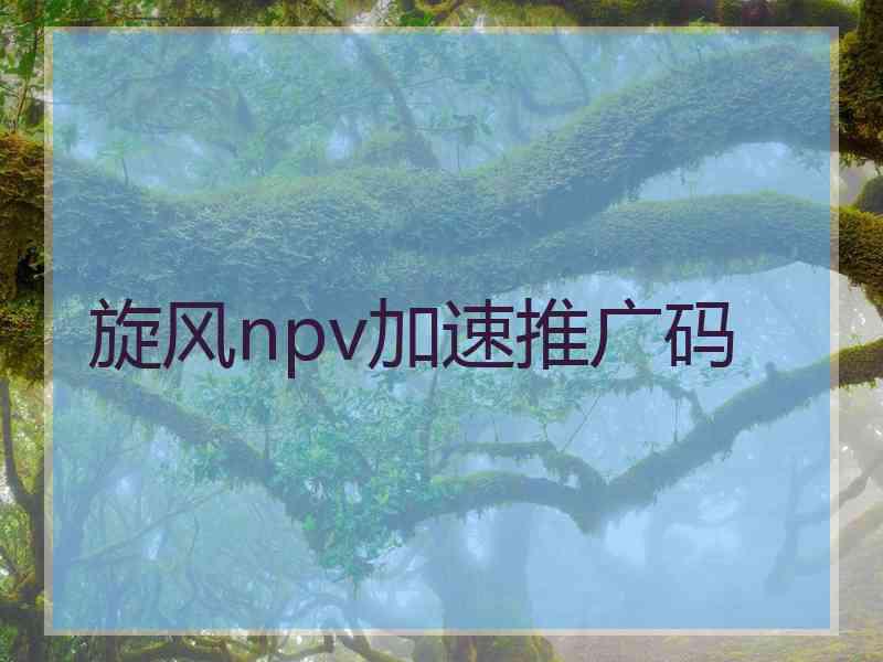 旋风npv加速推广码