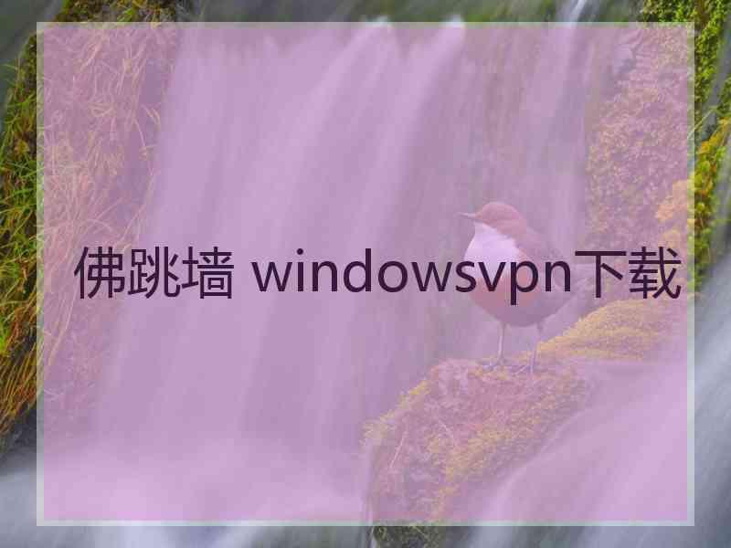 佛跳墙 windowsvpn下载