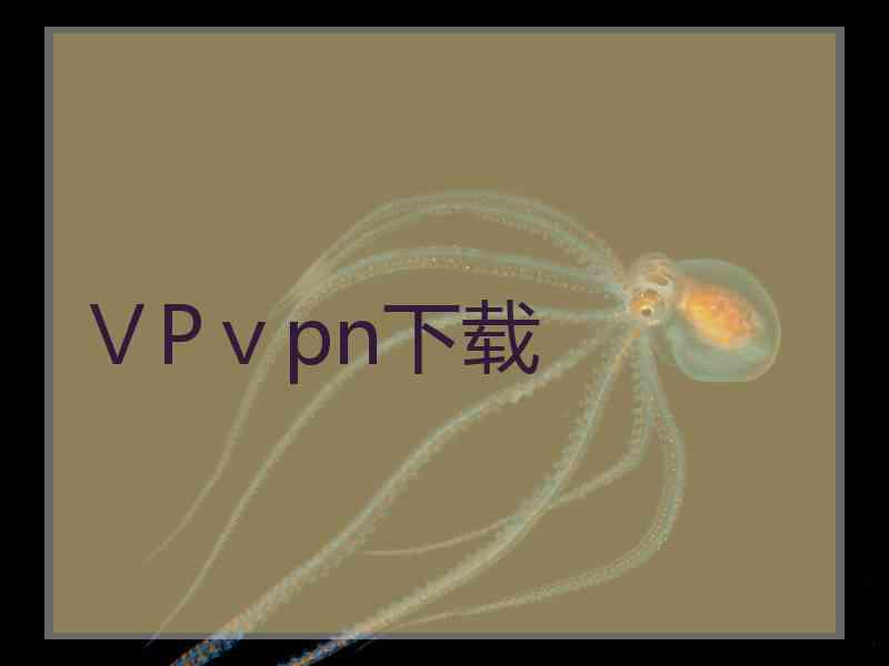 ⅤPⅴpn下载