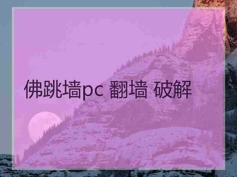 佛跳墙pc 翻墙 破解