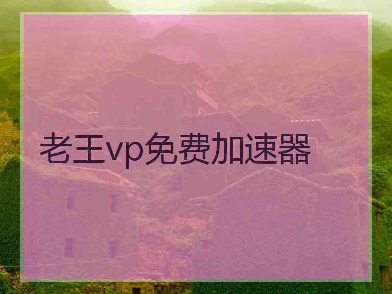 老王vp免费加速器