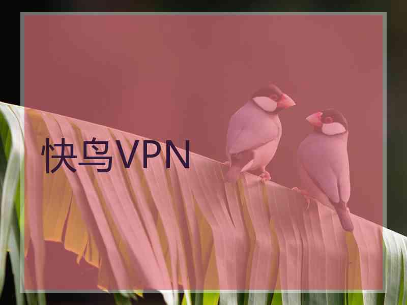 快鸟VPN