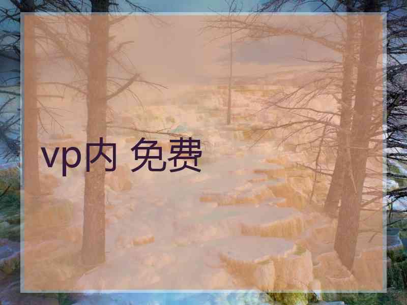 vp内 免费