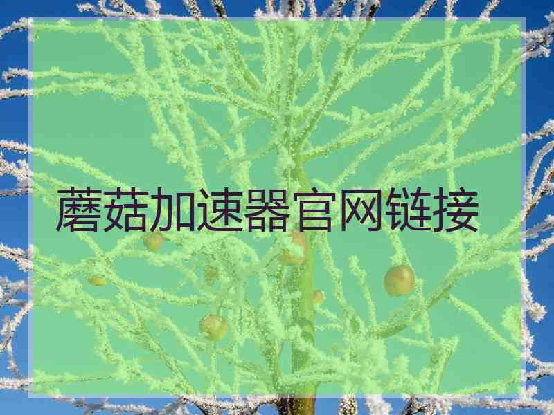 蘑菇加速器官网链接