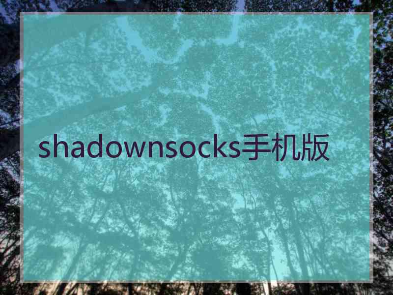 shadownsocks手机版