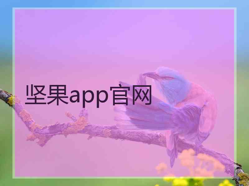 坚果app官网