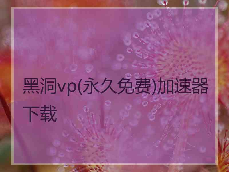 黑洞vp(永久免费)加速器下载