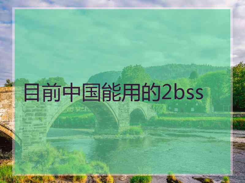 目前中国能用的2bss