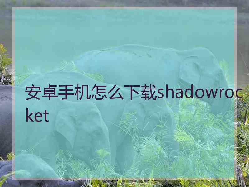 安卓手机怎么下载shadowrocket