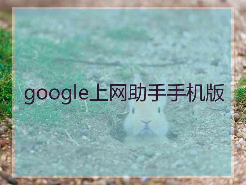 google上网助手手机版