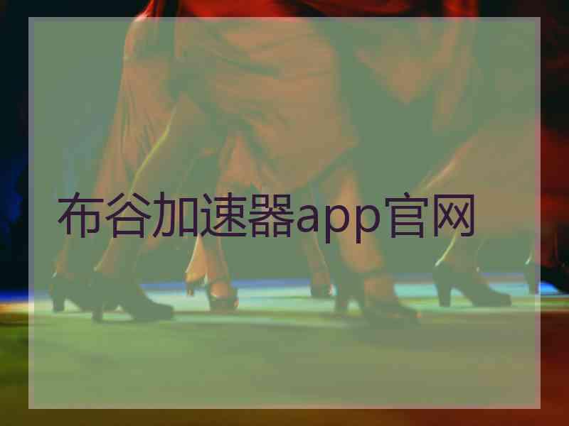 布谷加速器app官网