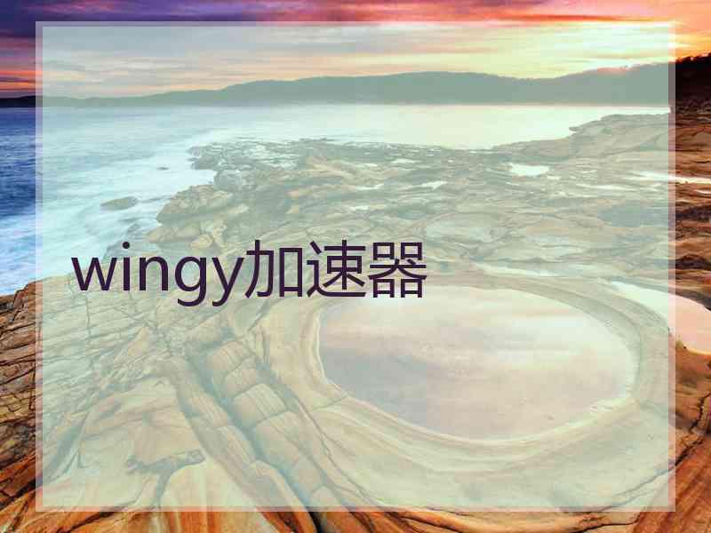 wingy加速器