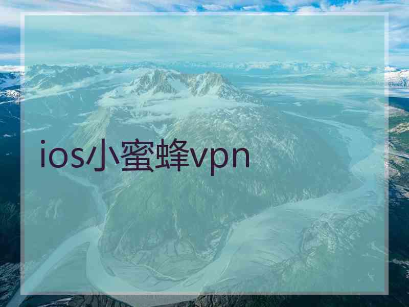 ios小蜜蜂vpn