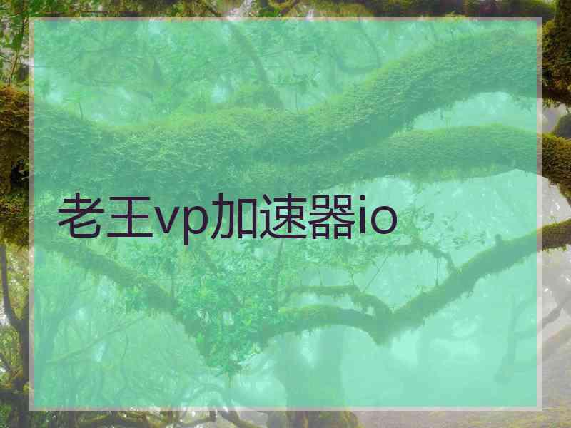 老王vp加速器io