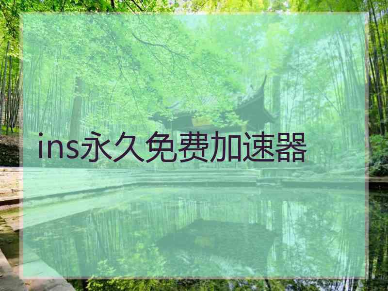 ins永久免费加速器