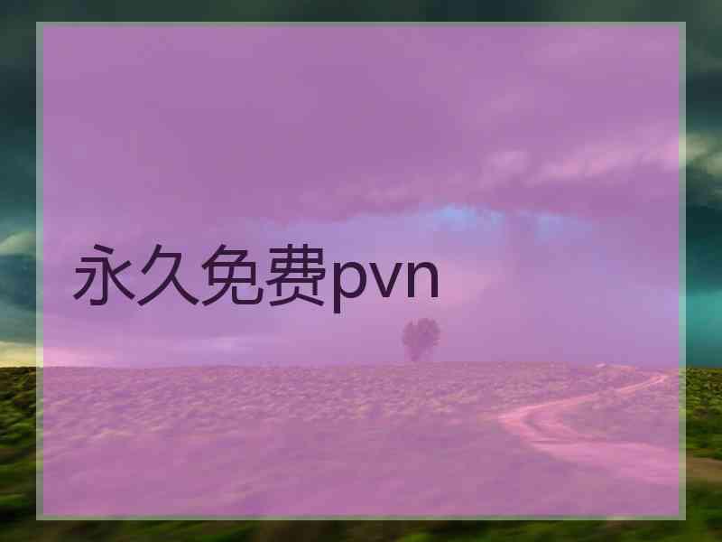 永久免费pvn