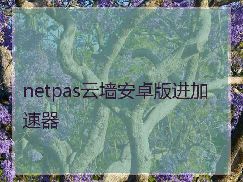 netpas云墙安卓版进加速器