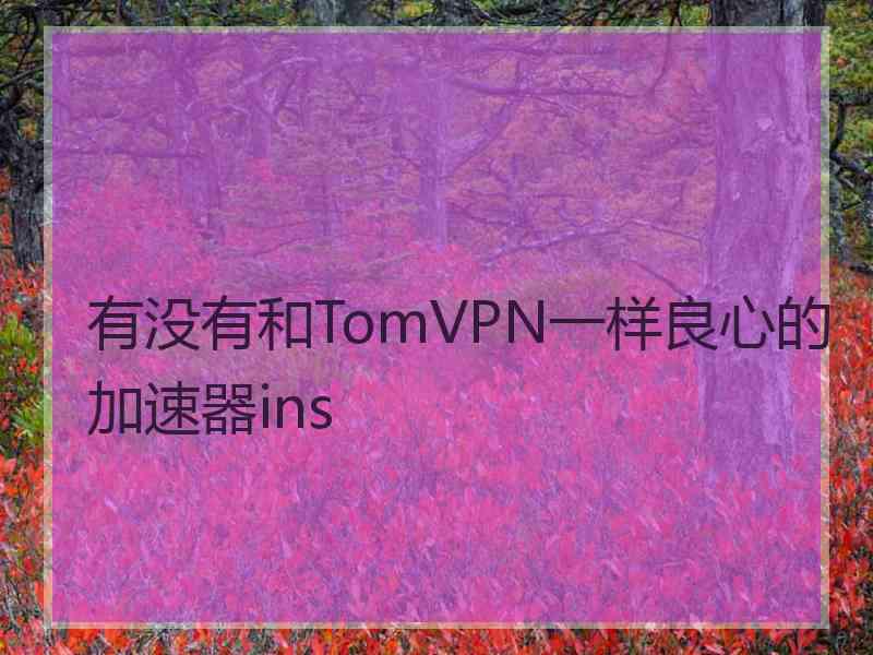 有没有和TomVPN一样良心的加速器ins