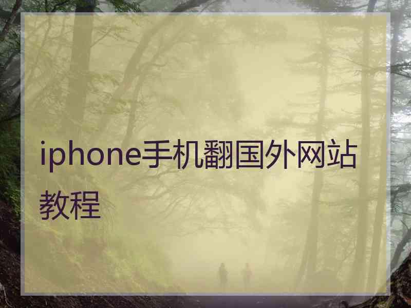 iphone手机翻国外网站教程