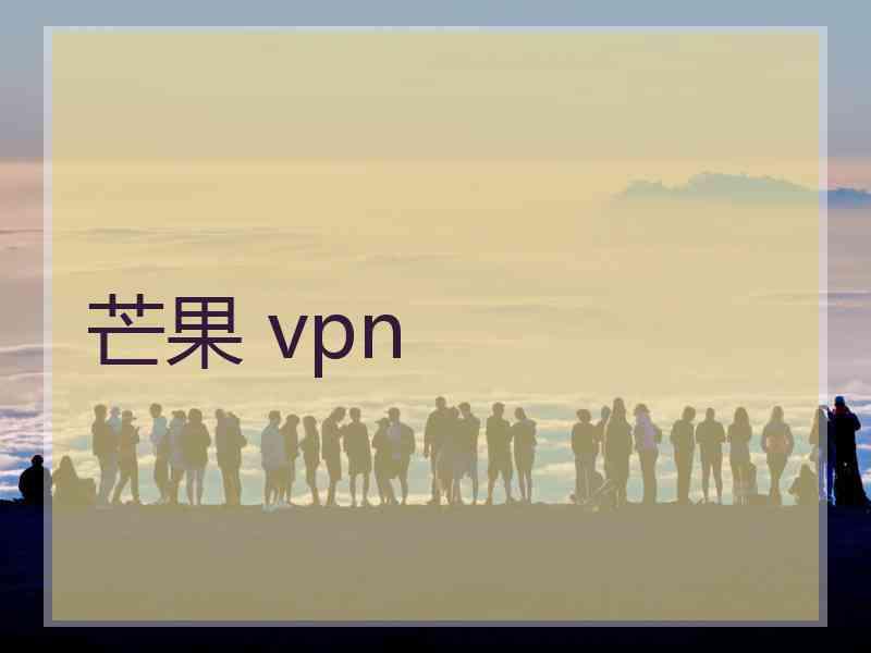 芒果 vpn