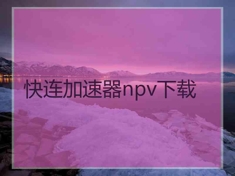 快连加速器npv下载