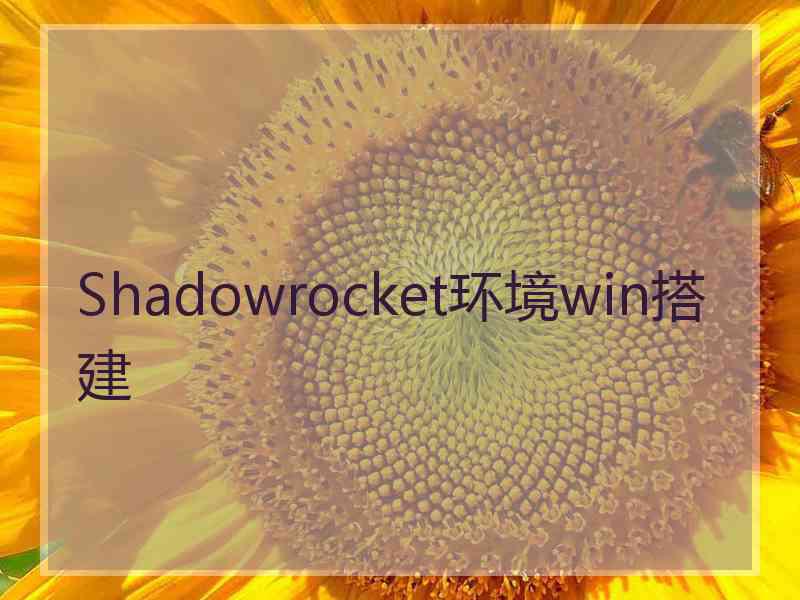 Shadowrocket环境win搭建