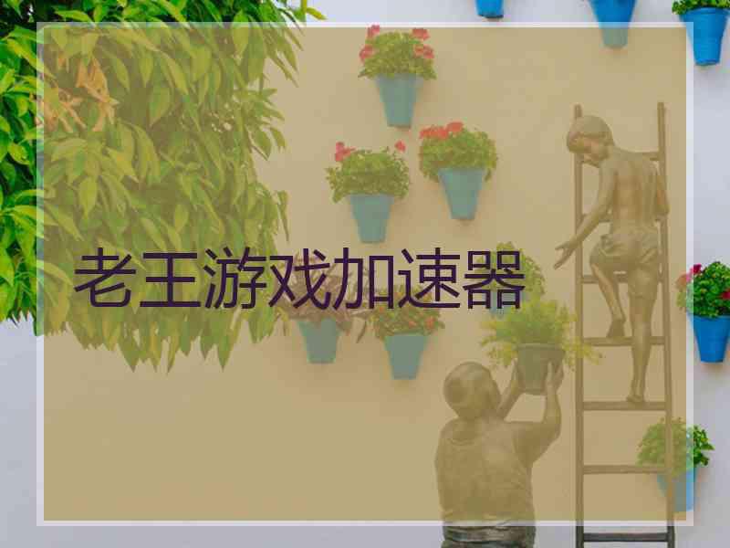 老王游戏加速器